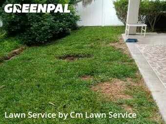 Lawn Care nearby Jacksonville, FL, 