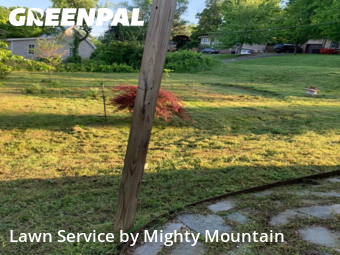 Grass Cut nearby Lenoir City, TN, 