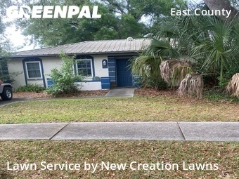Lawn Cut nearby Valrico, FL, 