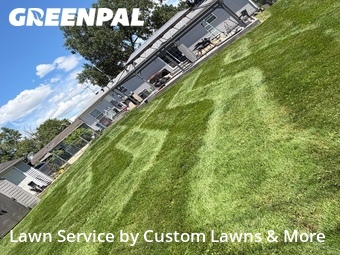 Lawn Mow nearby Wayne, MI, 