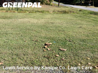 Lawn Mowing nearby Kingsport, TN, 