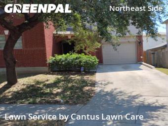 Lawn Mow nearby San Antonio, TX, 