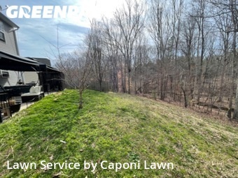 Lawn Care Service nearby Fort Mill, NC, 