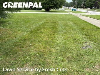 Lawn Mowing Service nearby Painesville, OH, 
