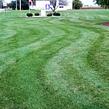 grass-cutting-businesses-in-Bloomington-IL