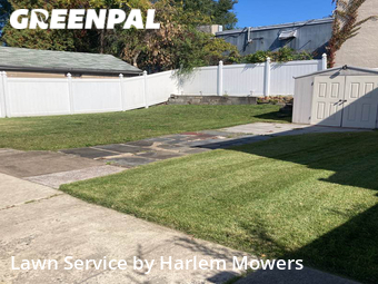 Landscapers In Paterson,7502,Landscaping Cleanup by Harlem Mowers, work completed in Nov , 2025