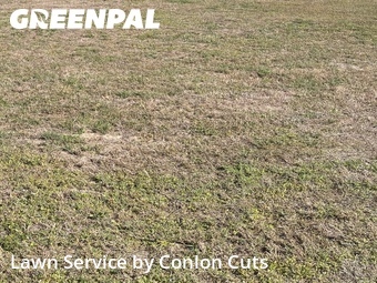 Grass Cut nearby Bradenton, FL, 