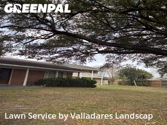 Lawn mowed in Pearland, 77581