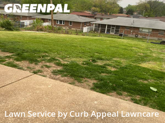 Grass Cut nearby Jennings, MO, 