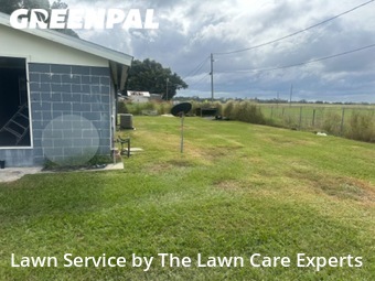 Grass Cut nearby Bartow, FL, 
