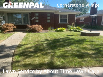 Grass Cut nearby Detroit, MI, 