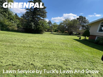 Yard Care in Northville, 48167, Yard Care Services by Tuck’s Lawn And Snow, work completed in Oct , 2025
