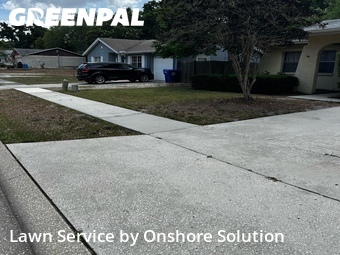 Yard Cutting nearby Palm Harbor, FL, 