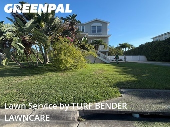 Yard Cutting nearby Palm Harbor, FL, 