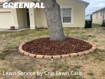 Lawn Cutting nearby Davenport, FL, 