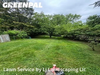 Lawn Mow nearby Media, DE, 