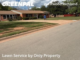 Lawn mowed in Abilene, 79603
