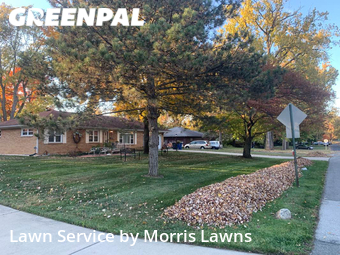 Lawn Maintenance nearby Toledo, OH, 