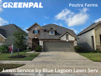 Lawn Maintenancein Houston,77083,Yard Cutting by Blue Lagoon Lawn Serv, work completed in Nov , 2025