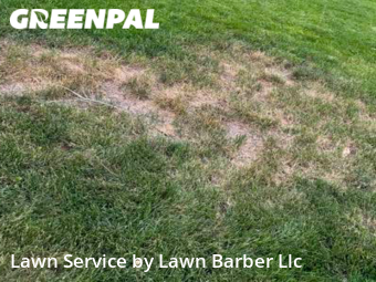 Lawn Maintenance nearby Greeley, CO, 