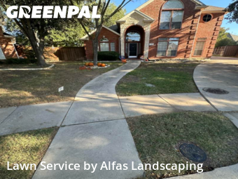 Lawn Upkeep in Coppell, 75019, Lawn Care by Alfas Landscaping, work completed in Nov , 2025