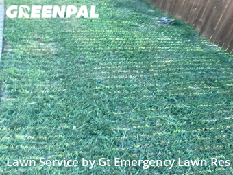 Lawn Cut nearby Argyle, TX, 