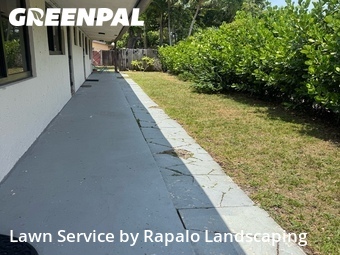 Lawn mowed in Hallandale Beach, 33009