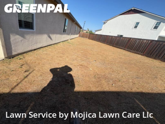 Work completed by the-yard-cutting-businesses-in-Roseville-CA