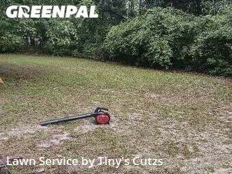 Lawn Care nearby Valdosta, GA, 