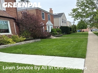 Lawn mowed in Elmwood Park, 60707