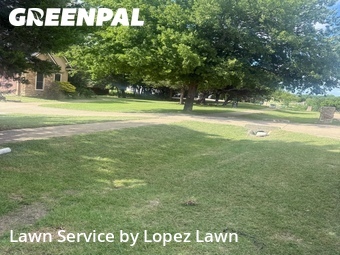 Lawn mowed in Cedar Hill, 75104