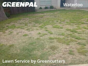 Lawn Care Service nearby Austin, TX, 