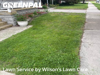Lawn Mow nearby Dearborn, MI, 