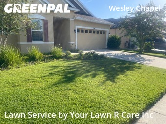 Grass Cutting nearby Wesley Chapel, FL, 