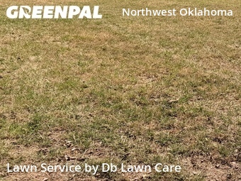 Lawn Mow nearby Oklahoma City, OK, 