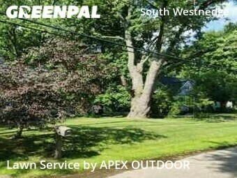 Grass Cut nearby Kalamazoo, MI, 