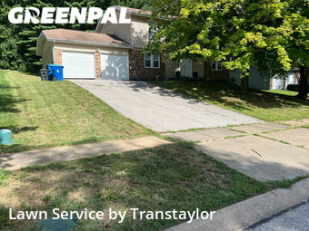 Lawn Cut nearby Black Jack, MO, 