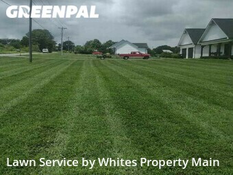 Yard Mowing nearby Greenback, TN, 