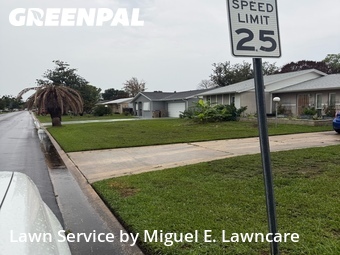 Lawn Cut nearby Kissimmee, FL, 