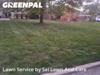 Lawn Mowing Service nearby Hammond, IN, 