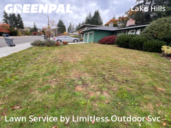 Grass Care in Bellevue, 98007, Yard Maintenance by Limitless Outdoor Svc, work completed in Nov , 2025