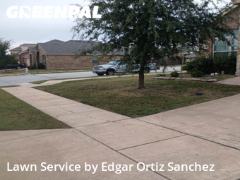 Yard Cutting in Princeton, 75407, Property Maintenance by Edgar Ortiz Sanchez, work completed in Nov , 2025