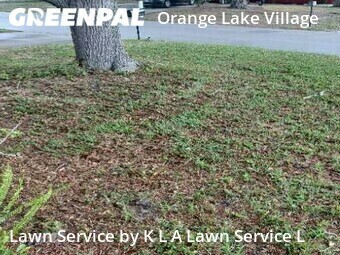 Grass Cutting nearby Largo, FL, 