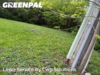 Yard Mowing nearby Minneapolis, MN, 