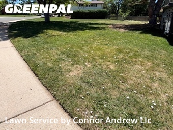 Lawn Mow nearby Centennial, CO, 