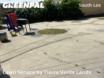 Lawn Maintenance nearby Los Angeles, CA, 