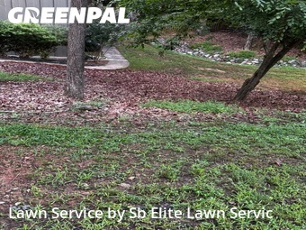 Lawn Cut nearby Gainesville, GA, 