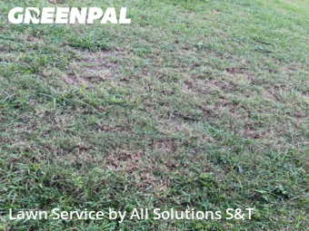 Lawn Service nearby Poinciana, FL, 
