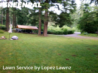 Lawn Maintenance nearby Snohomish, WA, 