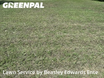 Grass Cutting nearby Clayton, NC, 